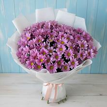Букет цветов из:  Хризантемы в Азнакаево
