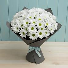 Букет цветов из:  Хризантемы #REPLACE_PRED# Азнакаево