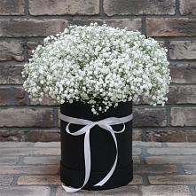 Цветочная композиция из Гипсофила в шляпной коробке в Азнакаево