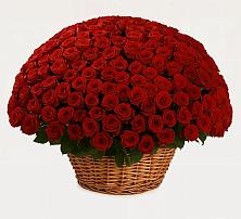 Премиум букет из: Розы в Азнакаево